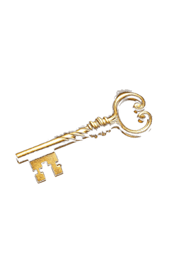 The gold key to your intelligence